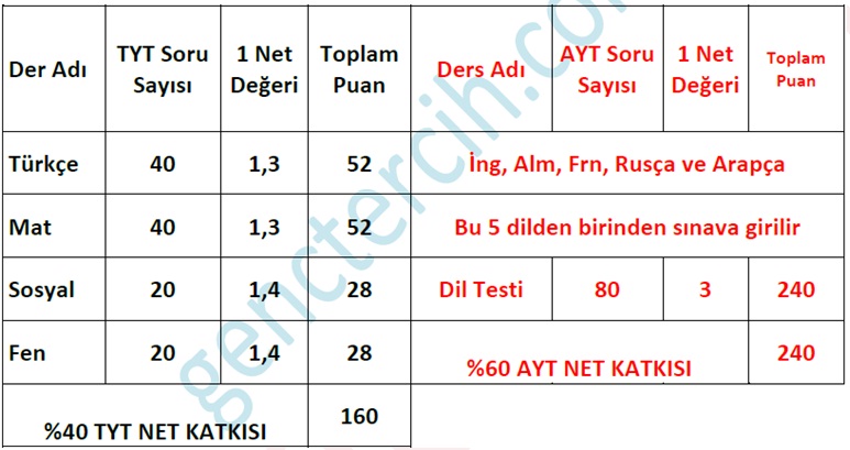 AYT DİL testi bir netin değeri